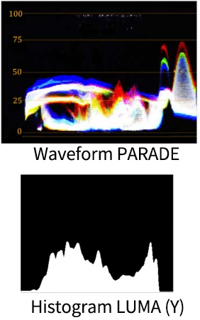 Swit FM-21HDR Waveform Histogram