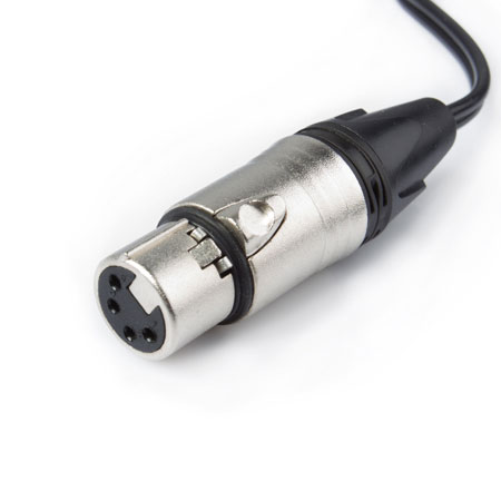 Gold Mount to 4-pin XLR DC Cable